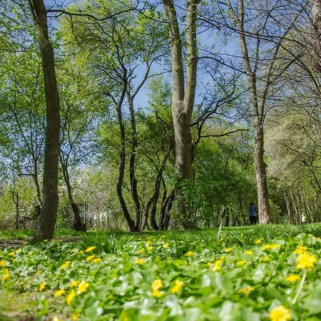 Apartament Parkowy Chodkiewicza *