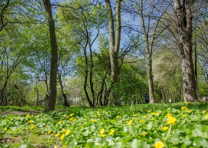 Parkowy Chodkiewicza *