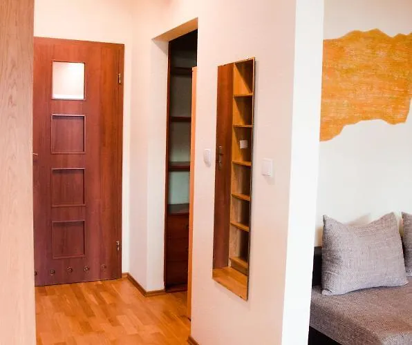 Parkowy Chodkiewicza Apartment *